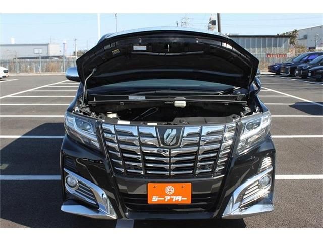 TOYOTA ALPHARD 2016 Image 31