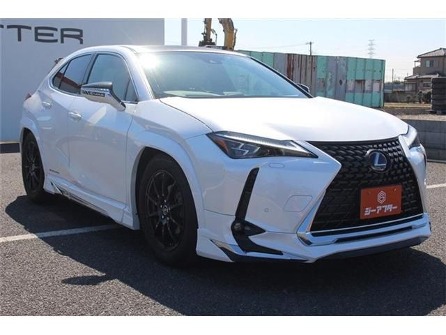 TOYOTA LEXUS UX300E 2021 Image 31