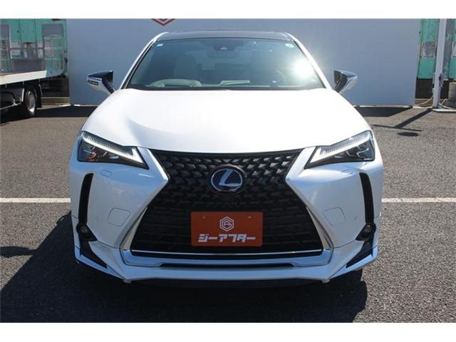 TOYOTA LEXUS UX300E 2021 Image 31