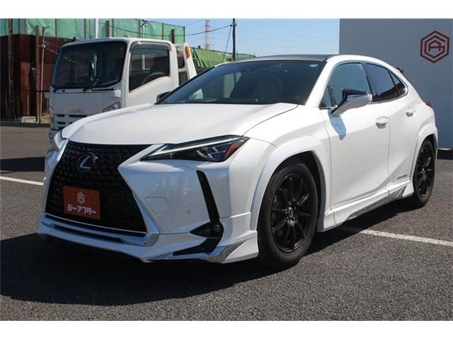 TOYOTA LEXUS UX300E 2021 Image 31