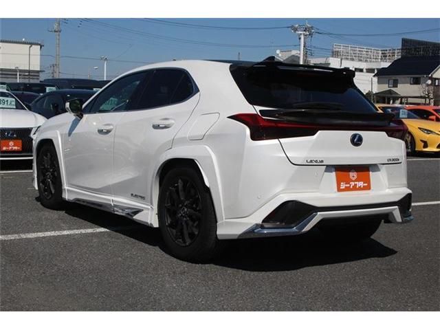 TOYOTA LEXUS UX300E 2021 Image 31