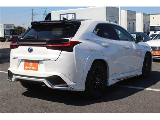 TOYOTA LEXUS UX300E 2021 Image 31