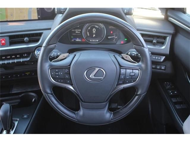 TOYOTA LEXUS UX300E 2021 Image 31