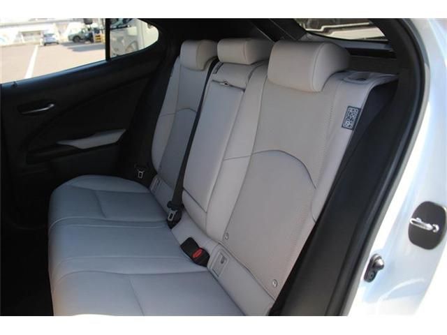 TOYOTA LEXUS UX300E 2021 Image 31