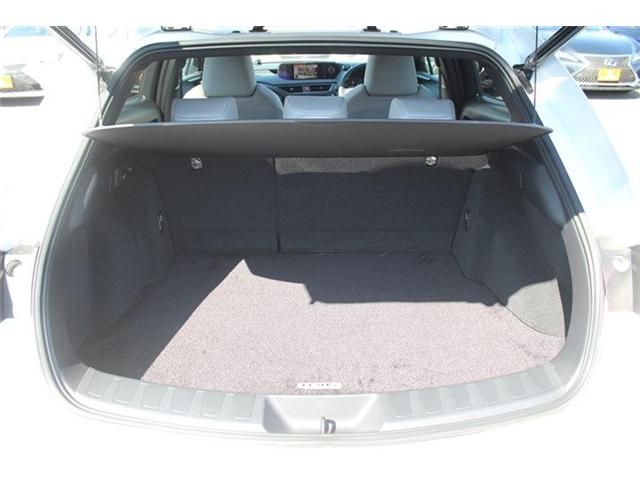 TOYOTA LEXUS UX300E 2021 Image 31