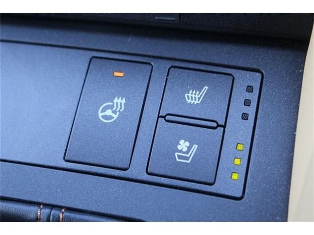 TOYOTA LEXUS RC300H 2019 Image 31