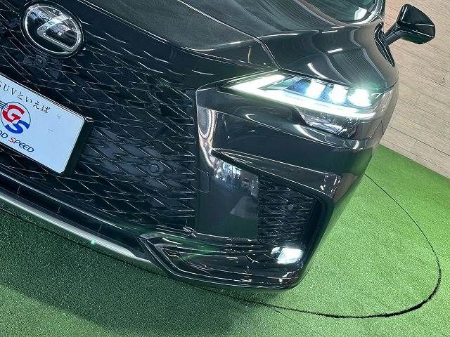 TOYOTA LEXUS RX500H 2023 Image 31