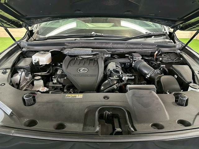 TOYOTA LEXUS RX500H 2023 Image 31