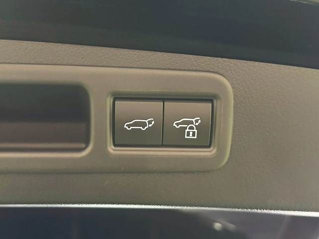 TOYOTA LEXUS RX500H 2023 Image 31