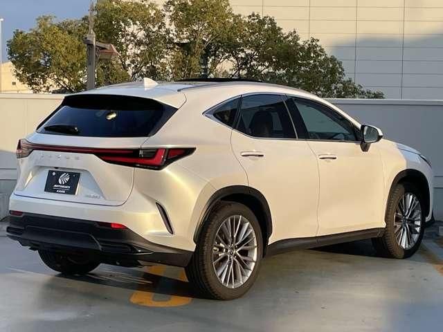 TOYOTA LEXUS NX250 2023 Image 31