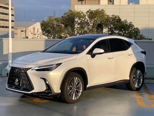 TOYOTA LEXUS NX250 2023 Image 31