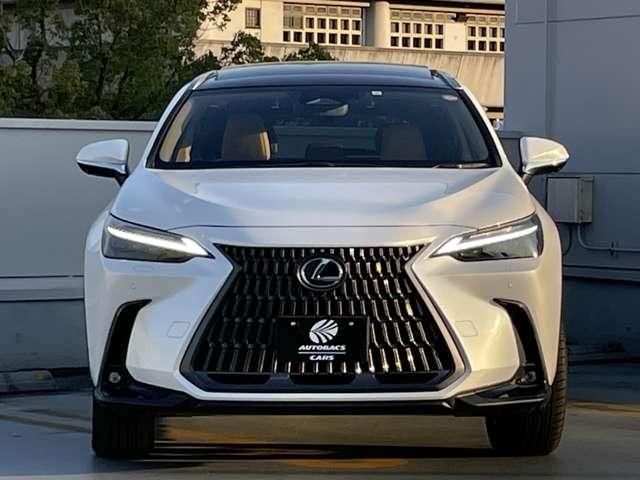 TOYOTA LEXUS NX250 2023 Image 31