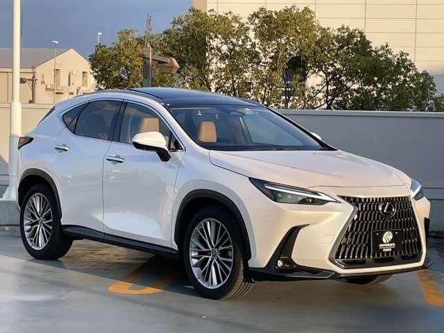 TOYOTA LEXUS NX250 2023 Image 31