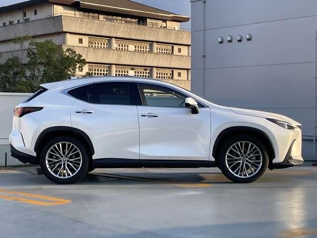 TOYOTA LEXUS NX250 2023 Image 31