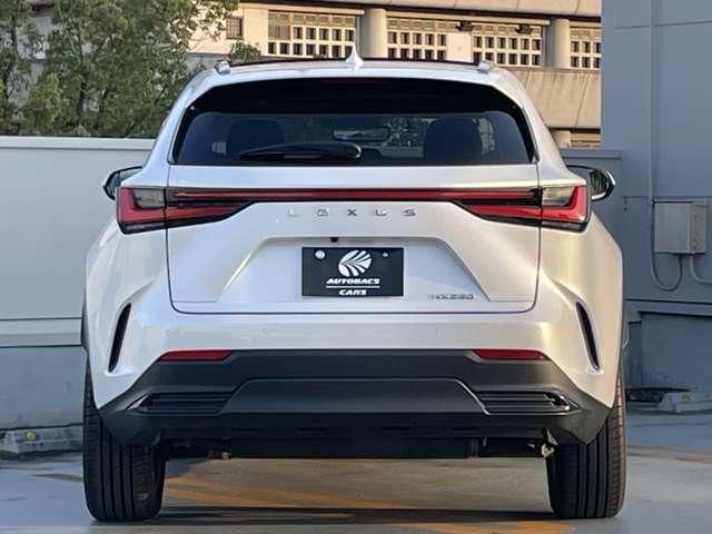 TOYOTA LEXUS NX250 2023 Image 31