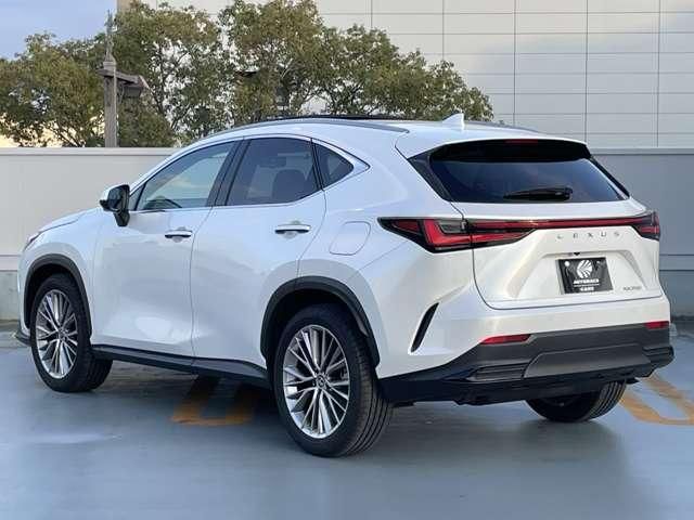 TOYOTA LEXUS NX250 2023 Image 31