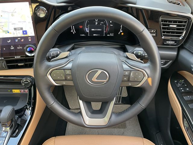 TOYOTA LEXUS NX250 2023 Image 31