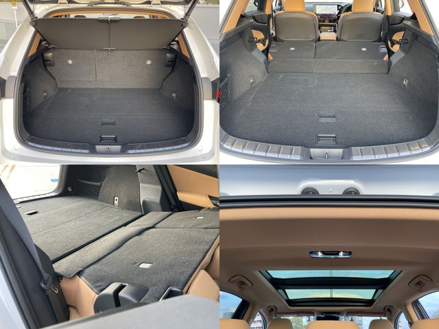 TOYOTA LEXUS NX250 2023 Image 31