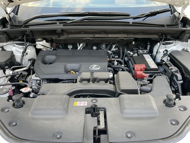 TOYOTA LEXUS NX250 2023 Image 31
