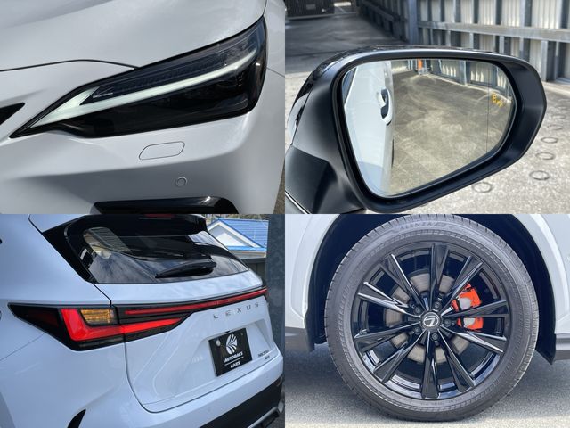 TOYOTA LEXUS NX350 AWD 2025 Image 31