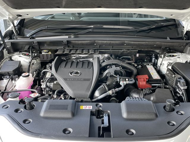 TOYOTA LEXUS NX350 AWD 2025 Image 31