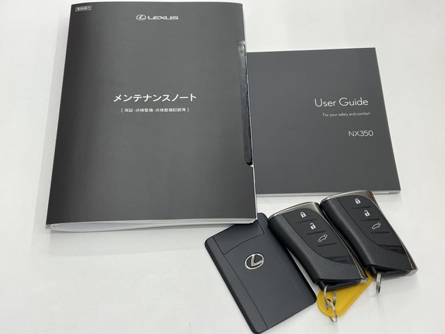 TOYOTA LEXUS NX350 AWD 2025 Image 31