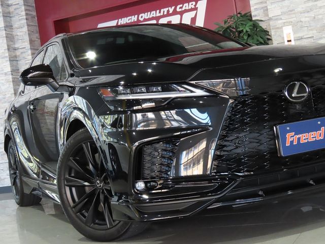 TOYOTA LEXUS RX500H 2023 Image 31