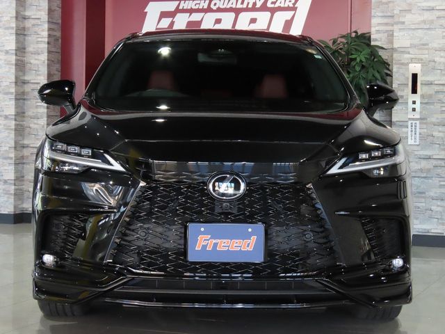 TOYOTA LEXUS RX500H 2023 Image 31