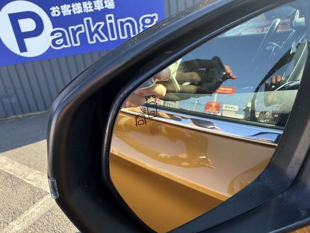 CITROEN DS7 CROSSBAC 2019 Image 31