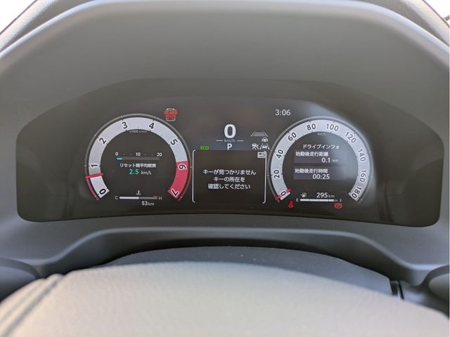 TOYOTA LANDCRUISER WAGON 2025 Image 31