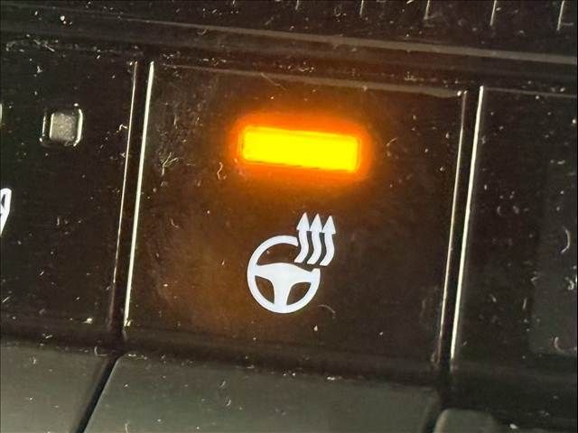 TOYOTA LANDCRUISER 250 2024 Image 31