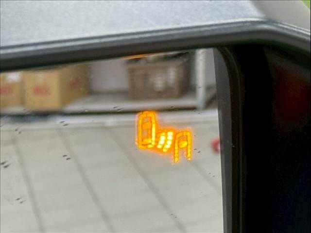 TOYOTA LANDCRUISER 250 2024 Image 31