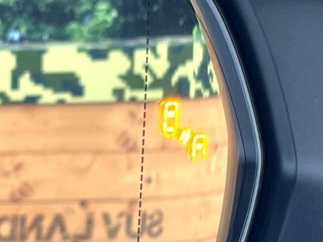 TOYOTA LEXUS NX300 2019 Image 31