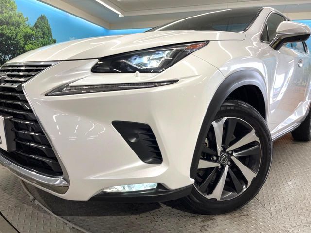 TOYOTA LEXUS NX300 2019 Image 31