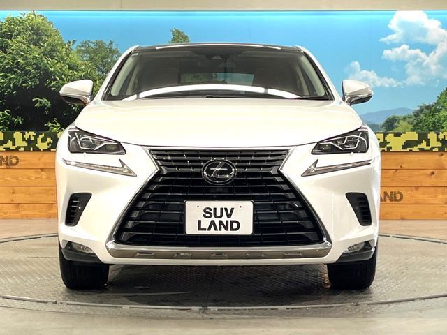 TOYOTA LEXUS NX300 2019 Image 31