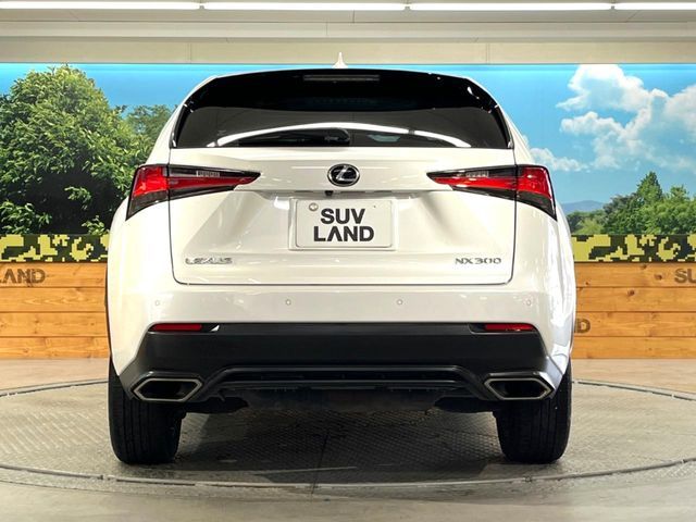 TOYOTA LEXUS NX300 2019 Image 31