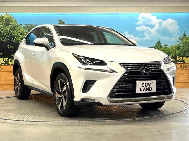 TOYOTA LEXUS NX300 2019 Image 31