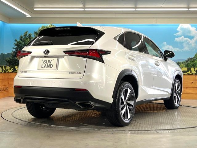 TOYOTA LEXUS NX300 2019 Image 31