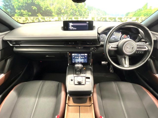 MAZDA MX-30 2021 Image 31