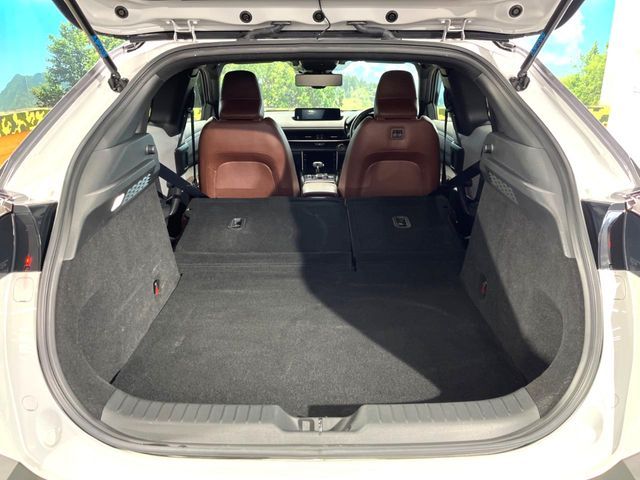 MAZDA MX-30 2021 Image 31