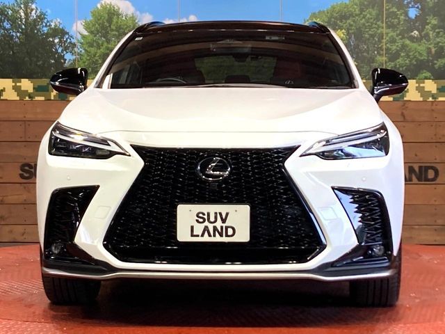 TOYOTA LEXUS NX350H 2023 Image 31