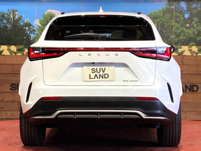 TOYOTA LEXUS NX350H 2023 Image 31