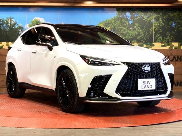 TOYOTA LEXUS NX350H 2023 Image 31