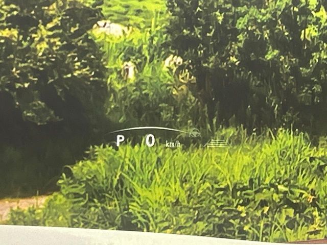 TOYOTA LEXUS RX350 2WD 2023 Image 31