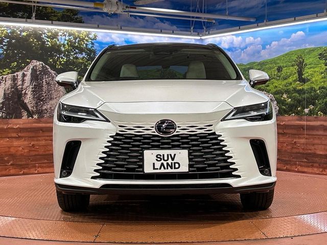 TOYOTA LEXUS RX350 2WD 2023 Image 31