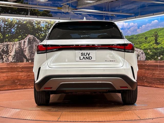 TOYOTA LEXUS RX350 2WD 2023 Image 31