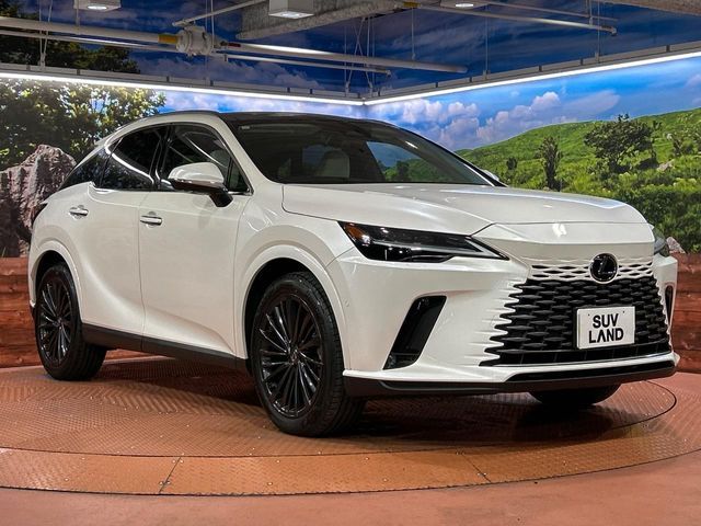 TOYOTA LEXUS RX350 2WD 2023 Image 31