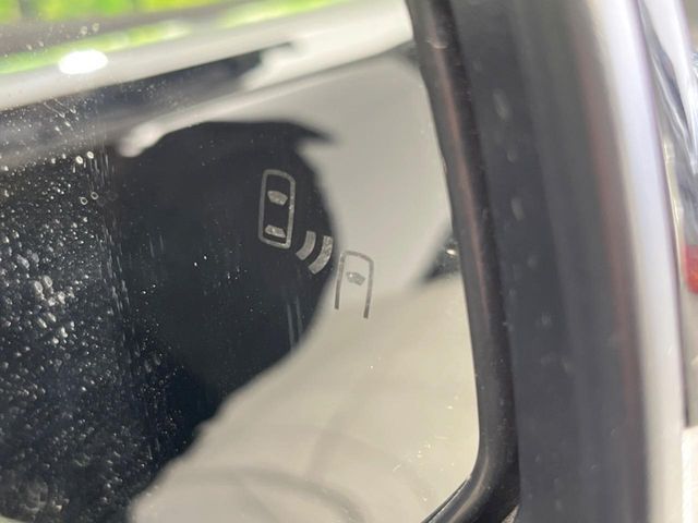 TOYOTA ALPHARD HYBRID 4WD 2025 Image 31