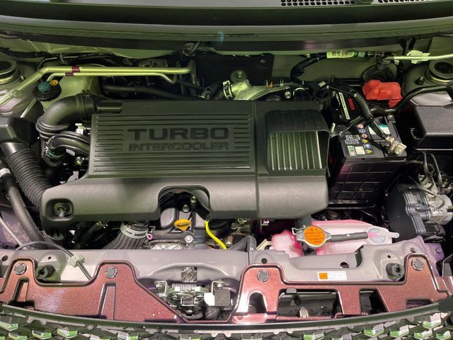 DAIHATSU CAST STYLE 2019 Image 31