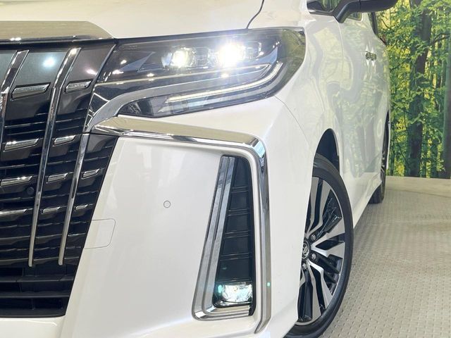 TOYOTA ALPHARD 2019 Image 31